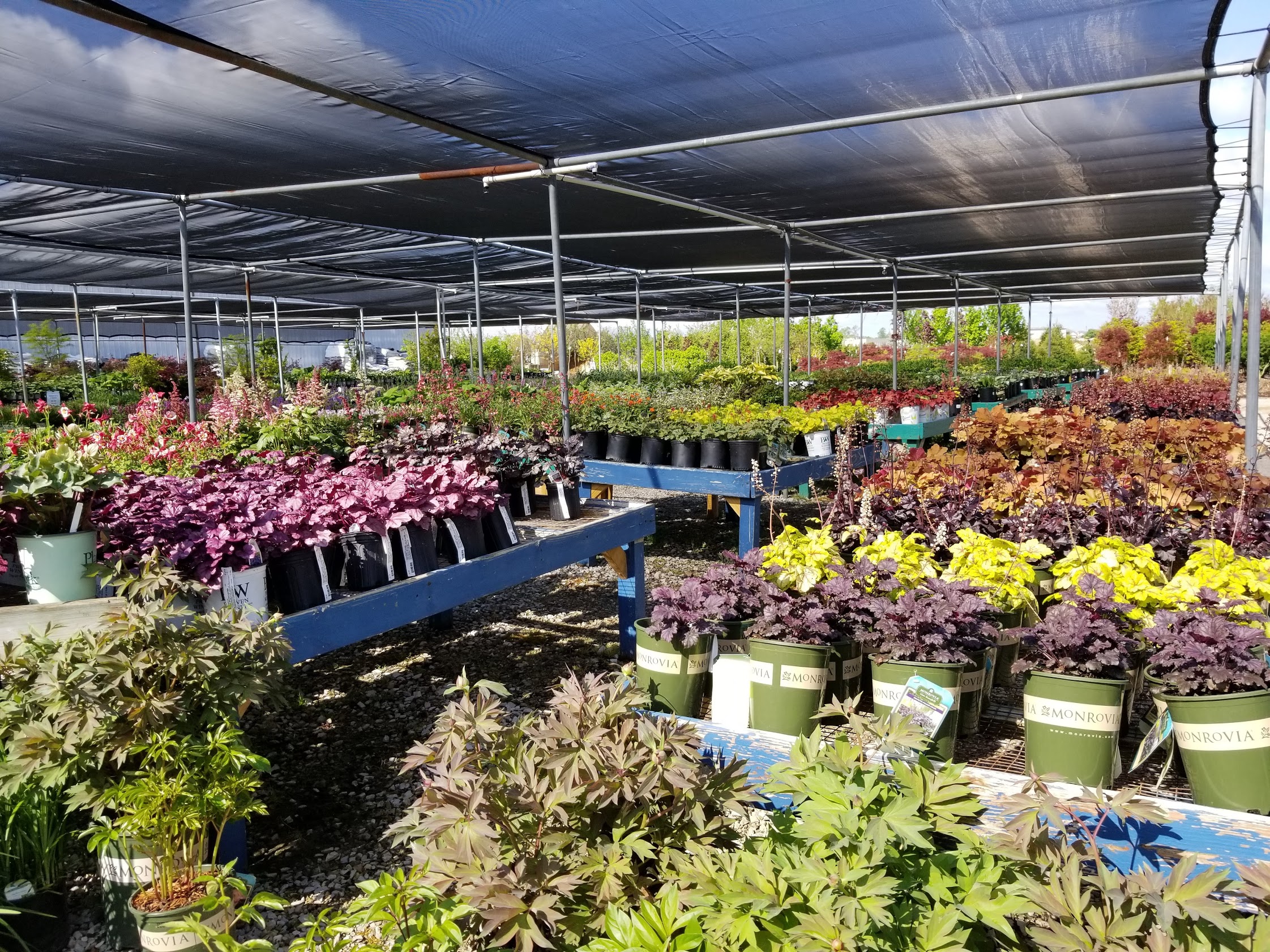 Tour Our Garden Center Colonial Classics Landscape Nursery Evansville And Newburgh In
