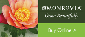 Monrovia Grow Beautifully - Buy Online